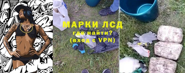 ГАЛЛЮЦИНОГЕННЫЕ ГРИБЫ Балабаново
