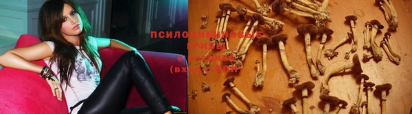 Альфа ПВП Баксан