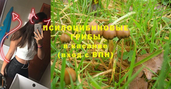 хмурый Богданович
